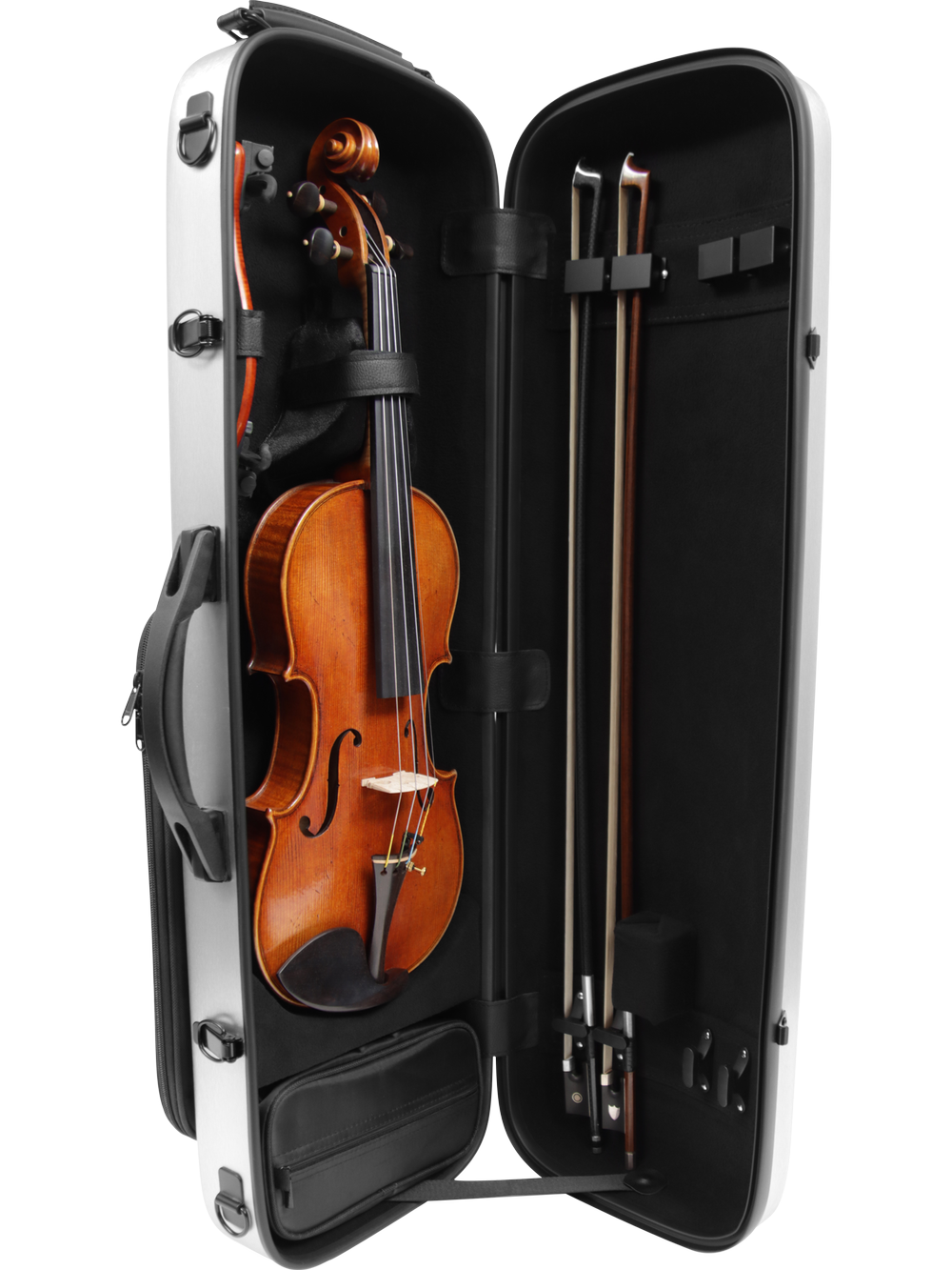 ビオセル バイタル 8003 Vector Series Case - Viola — Maple Leaf Strings